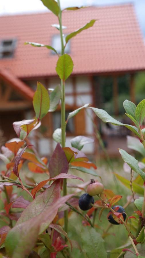 Holiday Home Sielanka Domek Z Sauna Na Kaszubach Barkocin Buitenkant foto