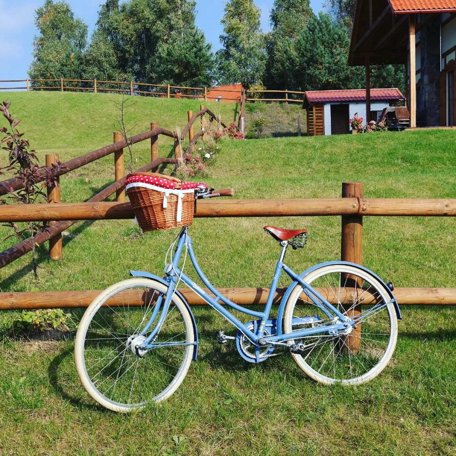 Holiday Home Sielanka Domek Z Sauna Na Kaszubach Barkocin Buitenkant foto